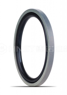 格萊圈—格萊圈PS110是一種孔用活塞桿密封圈，也叫階梯組合密封件。