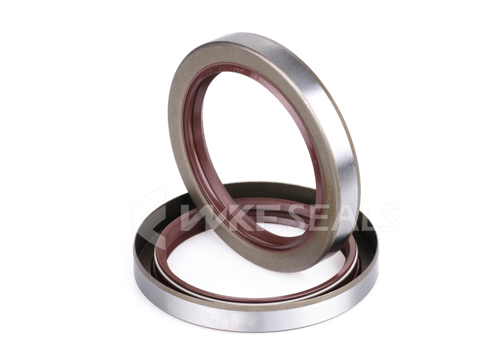 TB型進(jìn)口氟膠骨架油封實(shí)拍圖